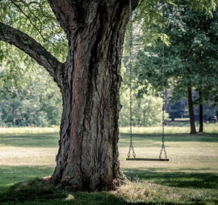 Screenshot_2025-08-03-19-12-12-42_40deb401b9ffe8e1df2f1cc5ba480b12 (1)